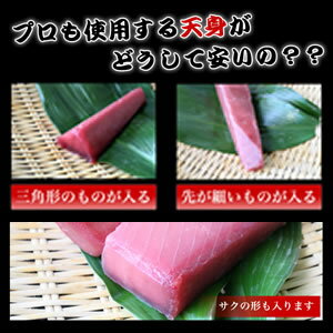 【送料無料】焼津船元直送！天然南まぐろ天身500g 天身（てんみ）は筋が少ないのが特徴です！【まぐろ】【マグロ】【鮪】 【マグロ　赤身】【RCP】【マグロ　刺身】（税込）80191