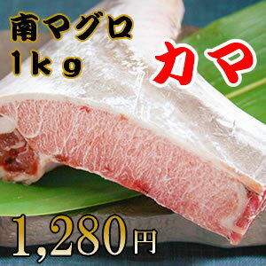 甘みが違う南まぐろカマ1kg！スーパーなどではお目にかかれない南まぐろのカマを限定使用！福坊は南まぐろ（マグロ、鮪）でこのお値段！【マグロ】【まぐろ】【鮪】【訳あり】【わけあり】【マグロ　カマ】【まぐろ かま】【あす楽】（税込）80194