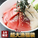 マグロ 福袋 総重量7kg 超大漁福袋 3月限定 ボリューム重視 86196