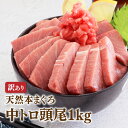 天然南まぐろ赤身中とろ刺身[送料無料][内祝い・出産内祝い・結婚内祝い・快気祝い お返し ギフトにも！][美食サークル]