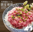 ネギトロ 1kg マグロ ねぎとろ 南マグロ限定使用 たたき身 南まぐろたたき身500g×2パック 86253