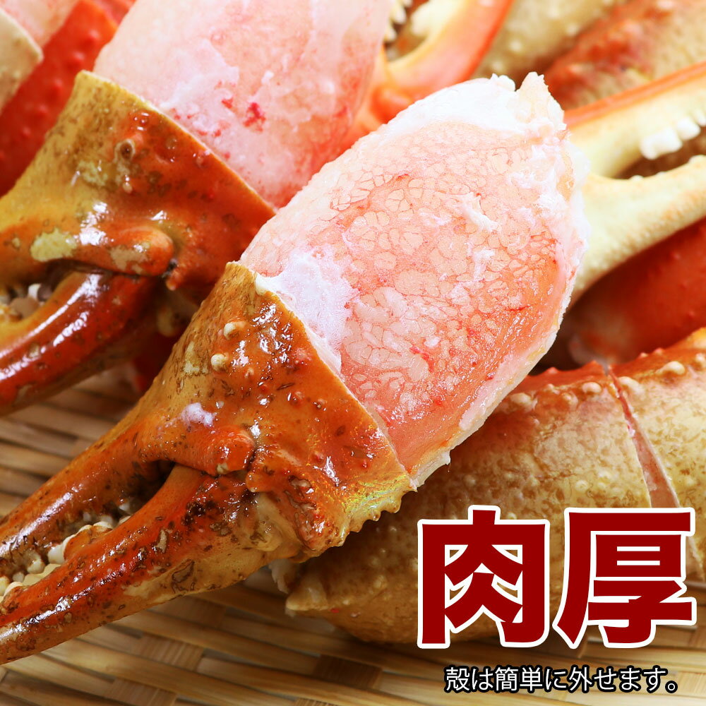 カニ爪好きにはたまらない逸品です カニ かに 蟹 爪 カニ爪 【お買得!】 1kg ボイル済み 80522 殻付き ズワイガニ爪1kg 5L スリットカット入 16-20個 カニ爪好きにはたまらない逸品です カニ かに 蟹 爪 カニ爪 【お買得!】 1kg ボイル済み 80522 殻付き ズワイガニ爪1kg 5L スリットカット入 16-20個
