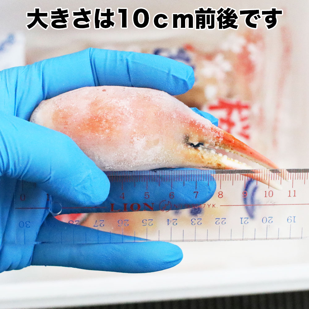 カニ爪 1kg 5L　かに ズワイガニ爪1kg　殻付き（スリットカット入）（16-20個） ボイル済み 80522 送料無料