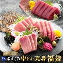 マグロ 刺身 中トロ 赤身 福袋 訳あり 天然本マグロ中トロ＆天身福袋 1.5kg 86120