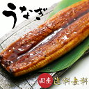 蒲焼き うなぎ 父の日 国産 ギフト プレゼント 蒲焼き 長焼き 浜名湖産うなぎ160g×2尾 86055