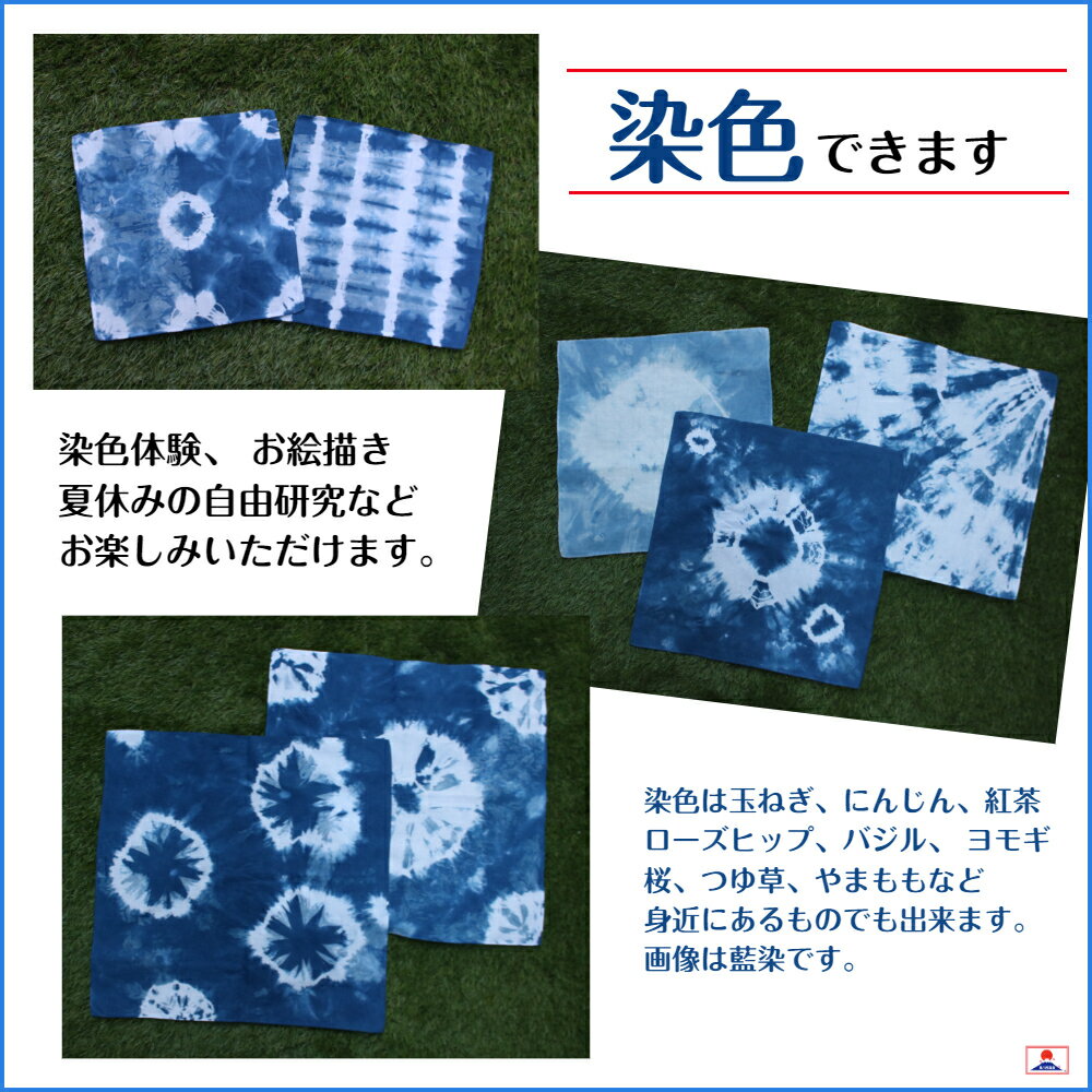 ハンカチ 白 無地 53cm 5枚セット 綿100% キャンブリック 日本製 はんかち 白ハンカチ 防災グッズ 三角巾 ゆうパケット送料無料