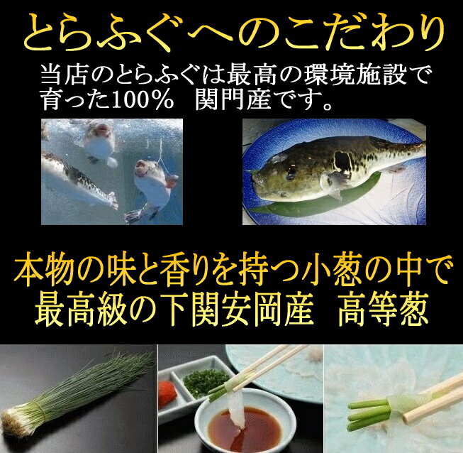 ふぐ 冷蔵【こだわりの生】関門海峡 ふくいちセット 4〜5人前フグ 河豚 ふぐ 刺身 ふぐ鍋 セット てっさ てっちり 海鮮 お歳暮 お取り寄せ ギフト【送料無料】【代引手数料無料】