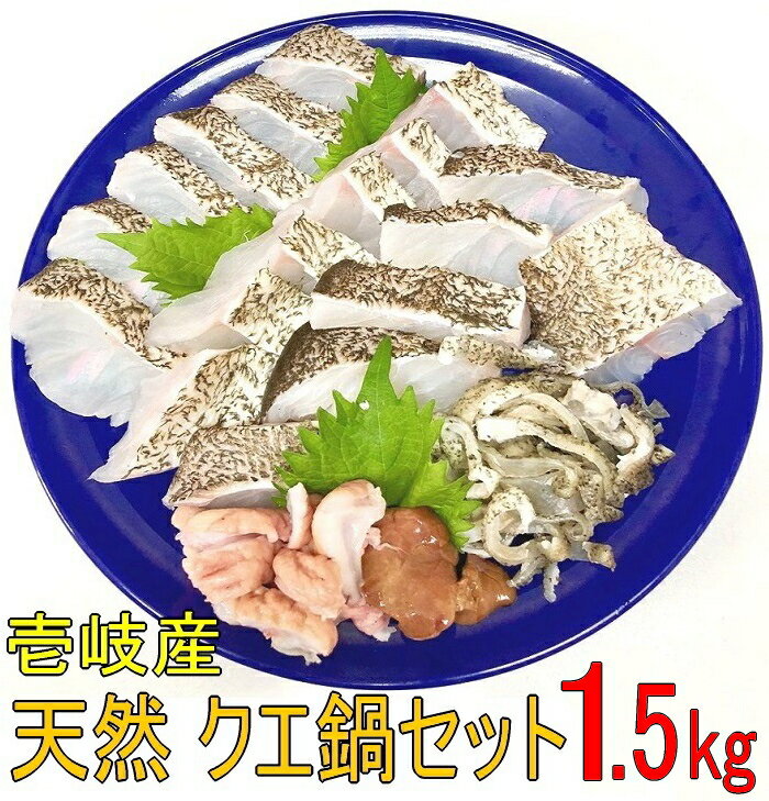 天然 クエ鍋セット 壱岐産 切身/アラ/1.5キロセット/アラ900g/切身600g/5〜6人前/特製クエスープ/肝/胃袋付【#元気いただきますプロジェクト】クエ鍋 あら鍋