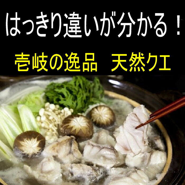 天然 クエ鍋セット 壱岐産 切身/アラ/600gセット(アラ/切身・各300g)/3〜4人前/特製クエスープ/肝/胃袋付【#元気いただきますプロジェクト】クエ鍋 あら鍋