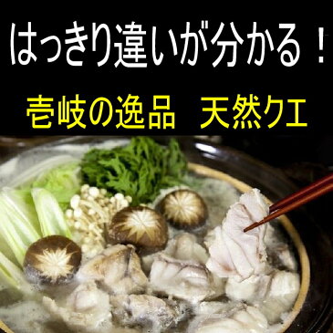 天然 クエ鍋セット 壱岐産 切身/アラ/1.2キロセット(各600g)/5〜6人前/特製クエスープ/肝/胃袋付