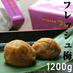 【送料無料】お徳用 紀州南高梅 塩分約6％フレッシュ梅A級 3L 1.2Kg【smtb-k】【w3】梅干し 梅干 バニリン 贈り物 ギフト 内祝い ギフトセット お祝い お取り寄せ お取り寄せギフト 御