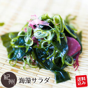 【送料込み】 国産 塩蔵 海藻サラダ 海藻 塩蔵わかめ ご飯のお供 みそ汁 わかめ ワカメ 若芽 健康 おかず サラダ 塩蔵 ミネラル ヘルシー 海のお野菜 贈り物 ギフト 内祝い 人気 送料無料 健康 ミネラル