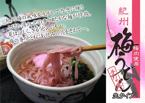 ☆エクスパック500対応☆梅うどん　生麺　3食入り