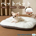 【10倍ポイント】スムースコートチワワ犬 スムチワ ペットベッド ペットソファ ペットクッション 犬 猫 いぬ ねこ ベッド ソファ クッション 犬用 猫用 丸...