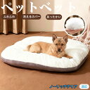 【10倍ポイント】ノーリッチテリア犬 ノーリッチ ペットベッド ペットソファ ペットクッション 犬 猫 いぬ ねこ ベッド ソファ クッション 犬用 猫用 丸洗...