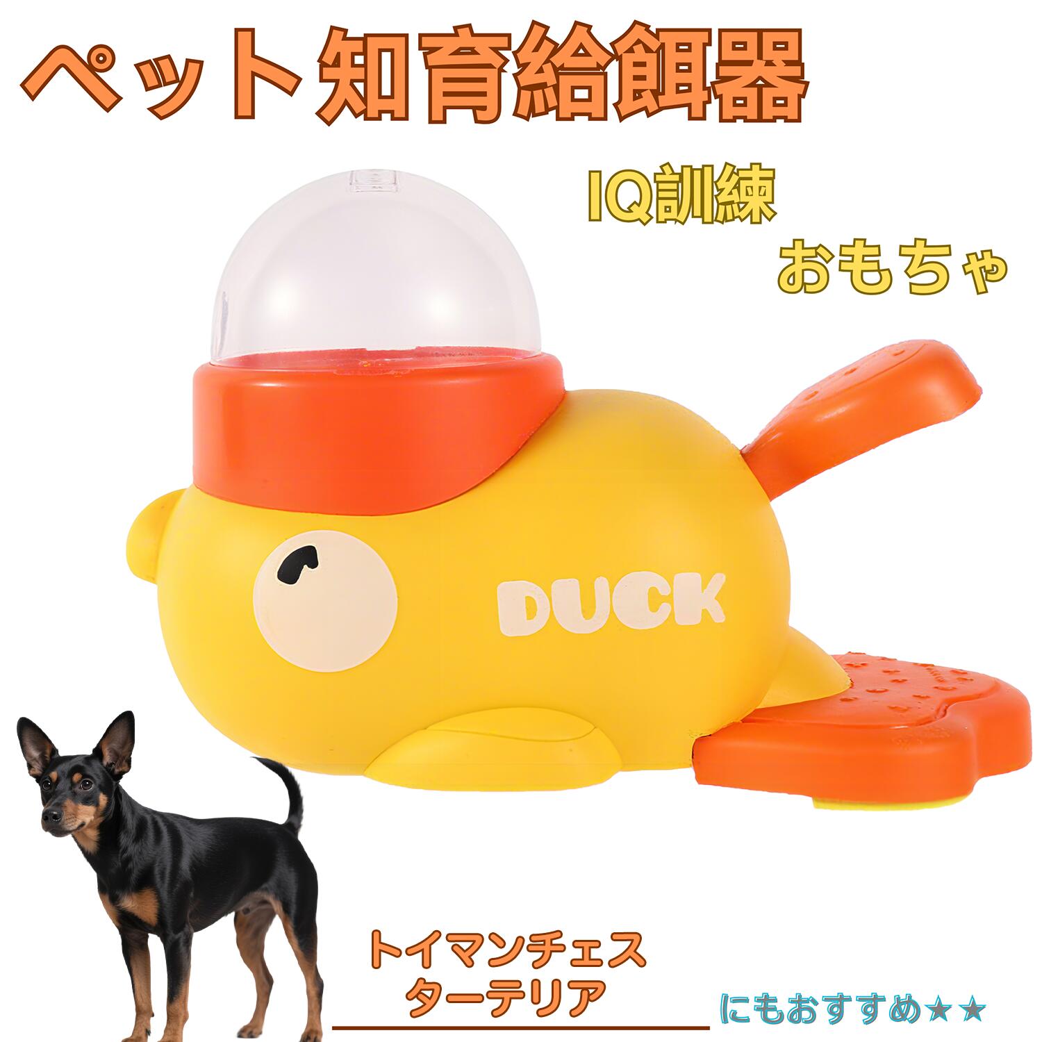 【5倍ポイント】トイマンチェスターテリア犬 トイマンチェ アヒル 知育給餌器 知育フィーダー 知育玩具..