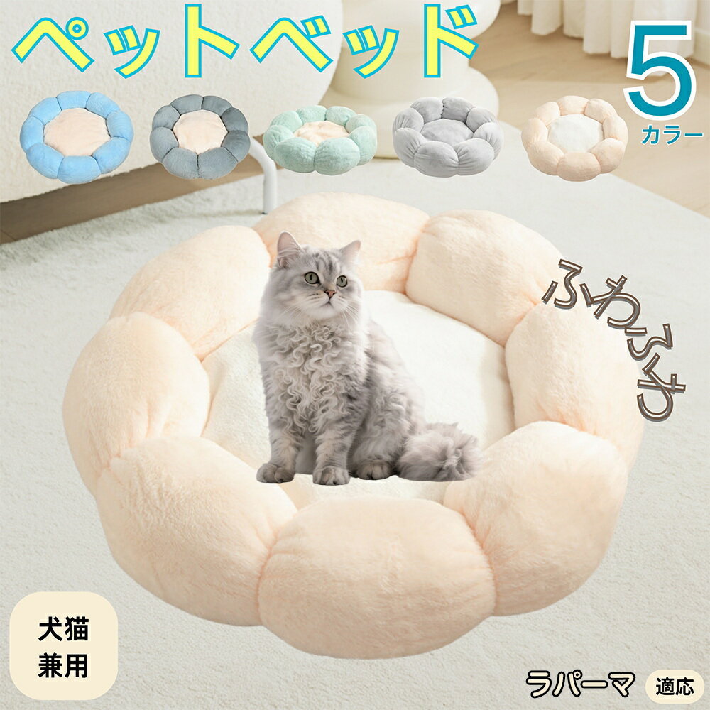 5ܥݥȡۥѡǭ ѡ ڥåȥ٥å ַ  ǭ   OK դդ ⤳⤳ Ȥ ٤ߤ     ...