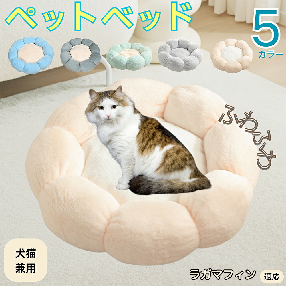 5ܥݥȡۥ饬ޥեǭ 饬ޥե ڥåȥ٥å ַ  ǭ   OK դդ ⤳⤳ Ȥ ٤ߤ    ...