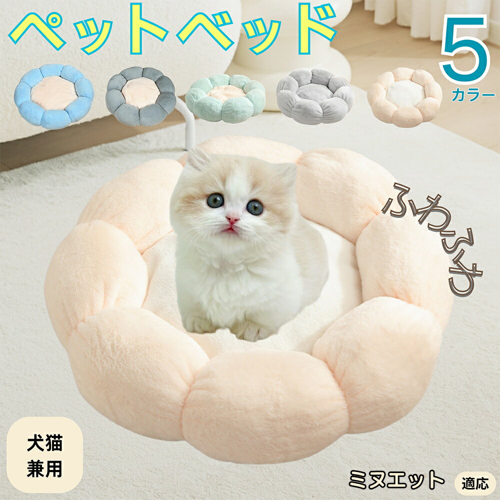 5ܥݥȡۥߥ̥åǭ ߥ̥ ڥåȥ٥å ַ  ǭ   OK դդ ⤳⤳ Ȥ ٤ߤ     ...