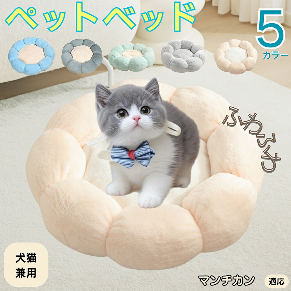 5ܥݥȡۥޥǭ ޥ ڥåȥ٥å ַ  ǭ   OK դդ ⤳⤳ Ȥ ٤ߤ     ...