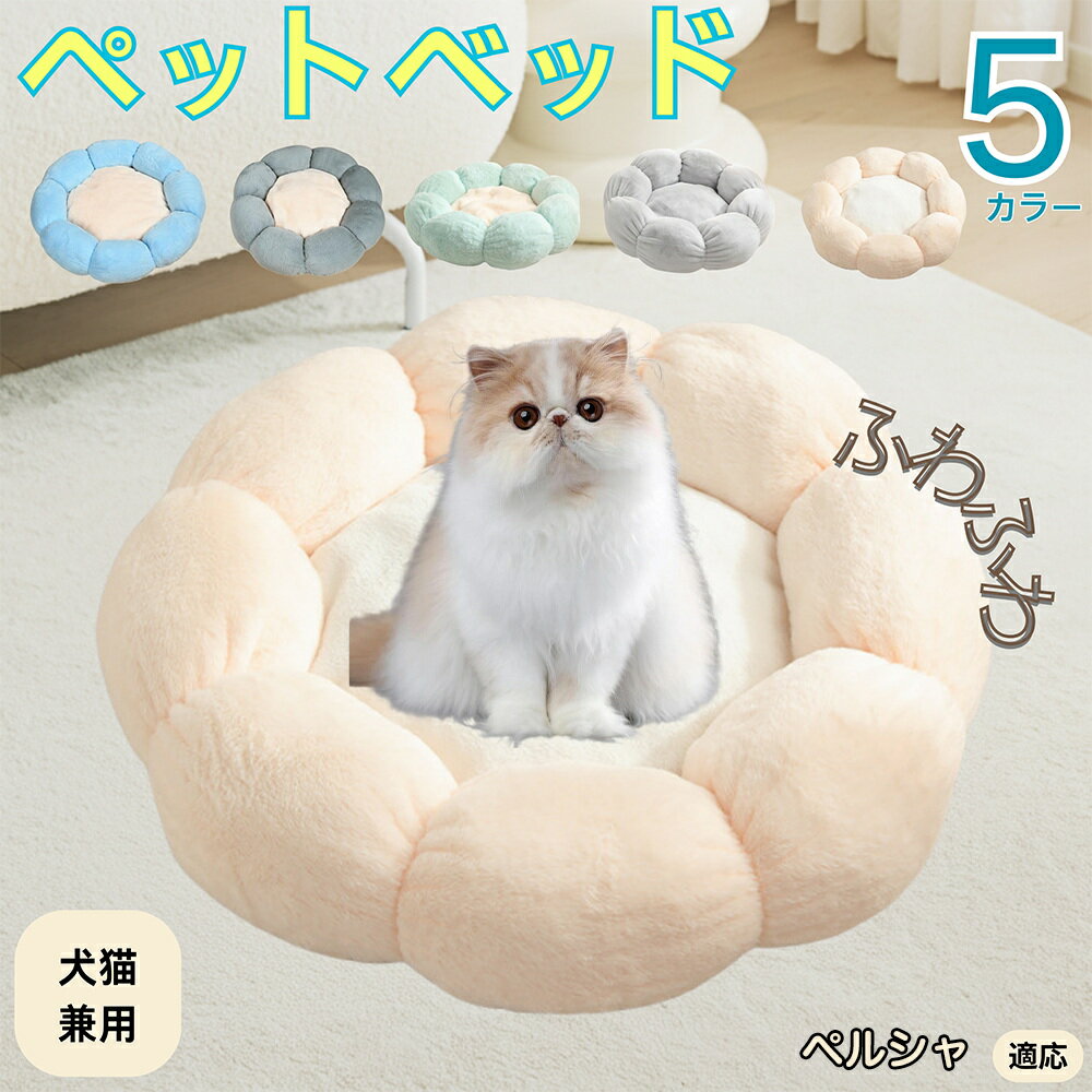 5ܥݥȡۥڥ륷ǭ ڥ륷 ڥåȥ٥å ַ  ǭ   OK դդ ⤳⤳ Ȥ ٤ߤ     ...