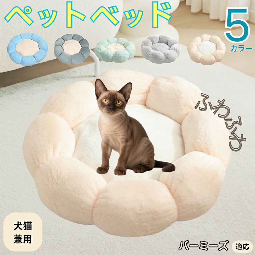 5ܥݥȡۥСߡǭ Сߡ ڥåȥ٥å ַ  ǭ   OK դդ ⤳⤳ Ȥ ٤ߤ    ...