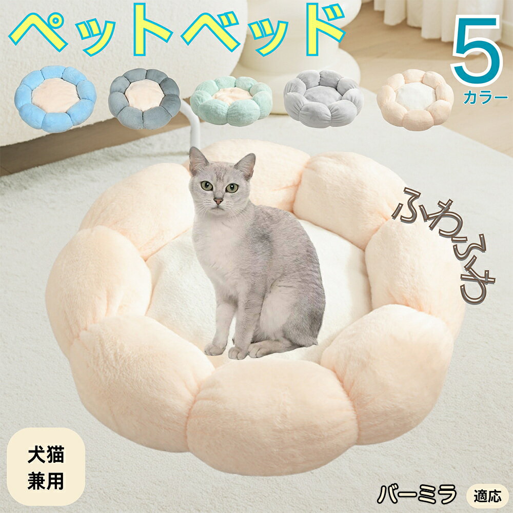 5ܥݥȡۥСߥǭ Сߥ ڥåȥ٥å ַ  ǭ   OK դդ ⤳⤳ Ȥ ٤ߤ     ...