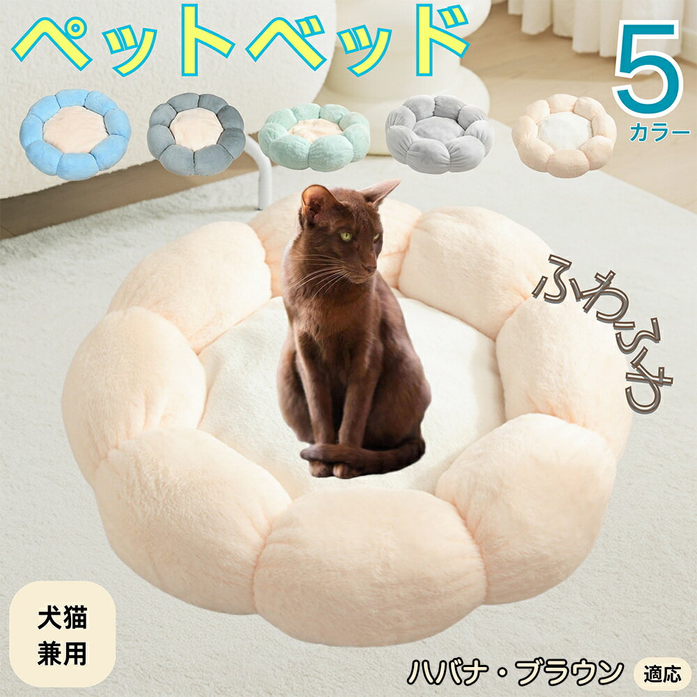 5ܥݥȡۥϥХʥ֥饦ǭ ϥХ ڥåȥ٥å ַ  ǭ   OK դդ ⤳⤳ Ȥ ٤ߤ    ...