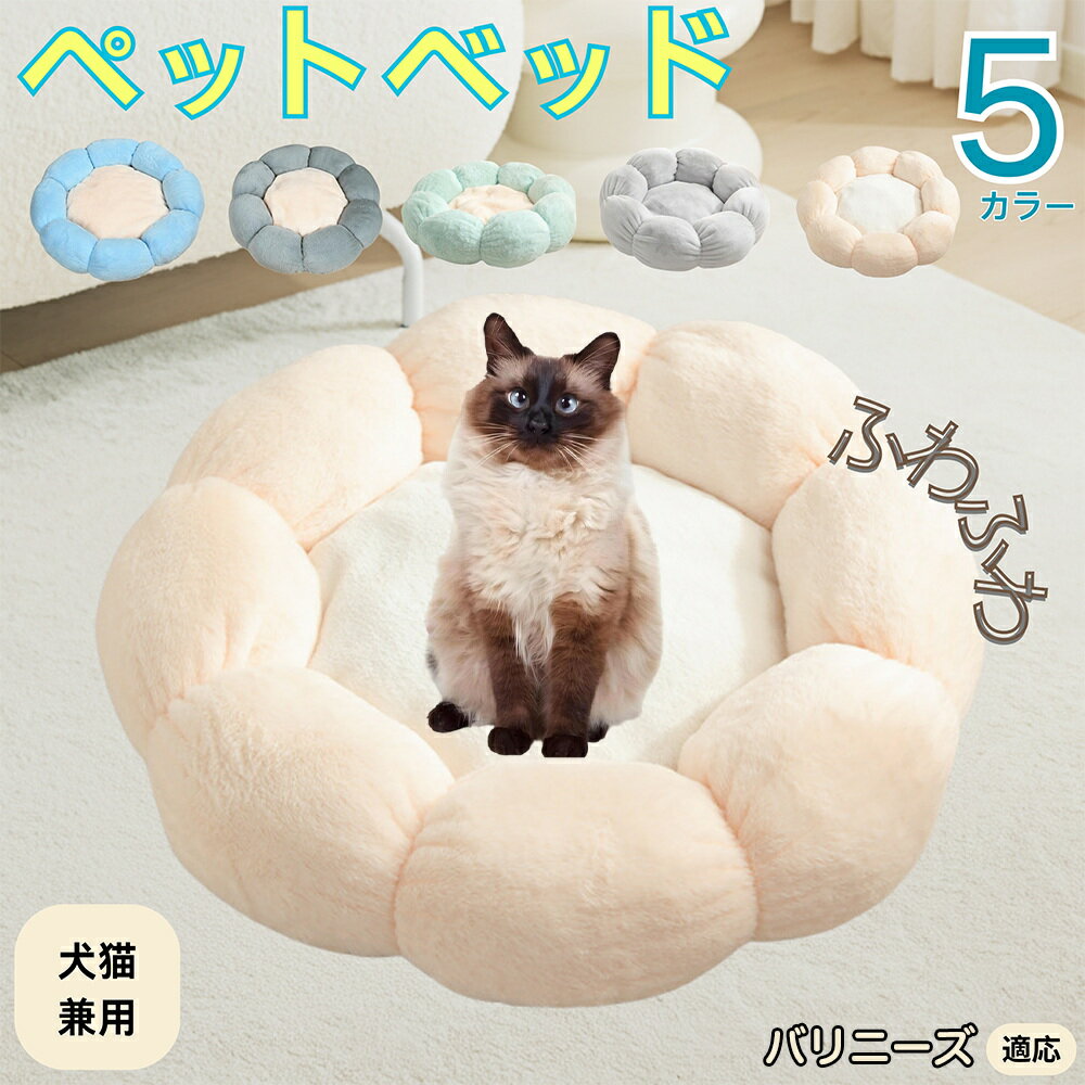 5ܥݥȡۥХˡǭ Хˡ ڥåȥ٥å ַ  ǭ   OK դդ ⤳⤳ Ȥ ٤ߤ    ...