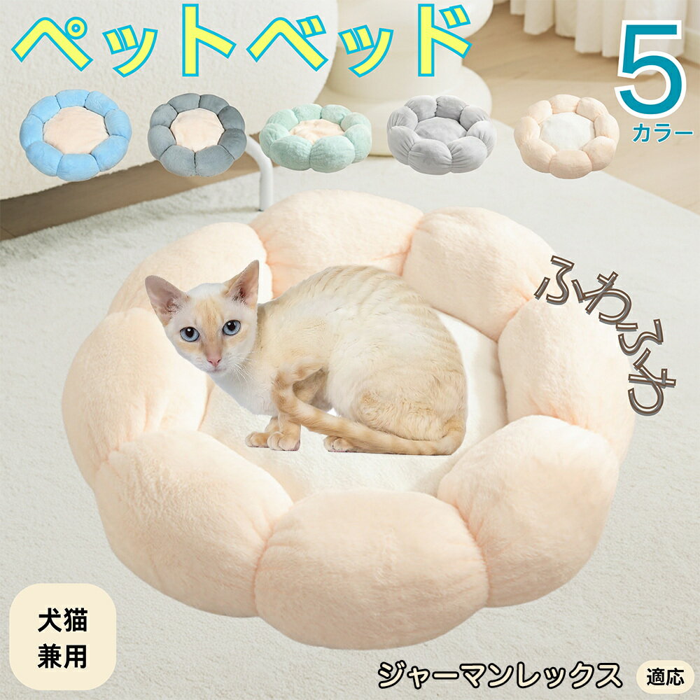 5ܥݥȡۥ㡼ޥåǭ 㡼ޥ ڥåȥ٥å ַ  ǭ   OK դդ ⤳⤳ Ȥ ٤ߤ   ...