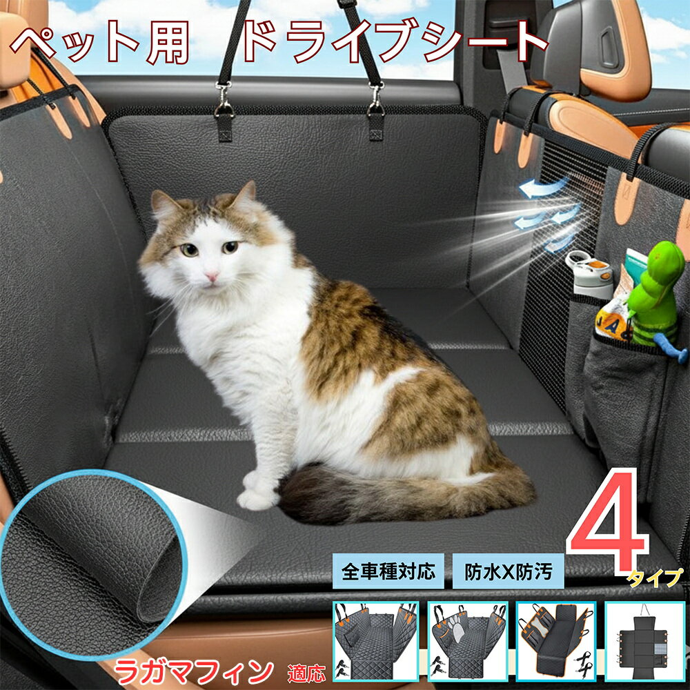 【5倍ポイント】ラガマフィン猫 ラ