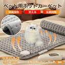 【5倍ポイント】エキゾチックロングヘア猫 エキゾロン ペット用ホットカーペット 犬 猫 冬用 速暖 温度調節 洗える 防水 省エネ 滑り止め 長方形 ベッド用 ...