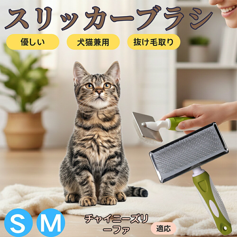 եŷԾŹ㤨֡5ܥݥȡۥ㥤ˡ꡼եǭ ꡼ե å֥饷 ǭ ڥåȥ֥饷 ȴӡӶ̼ üˤʤ û Ĺб  淿 OK ޥå 롼ߥѡפβǤʤ1,500ߤˤʤޤ