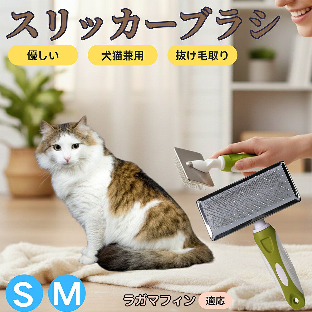 【5倍ポイント】ラガマフィン猫 ラ