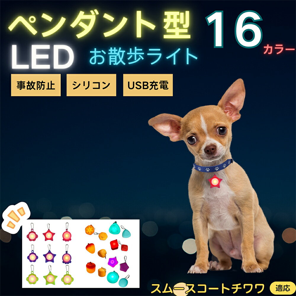 スムースコートチワワ犬 スムチワ LEDお散歩ライト ペット用 光る 首輪用チャーム USB充電 防滴 耐衝撃..