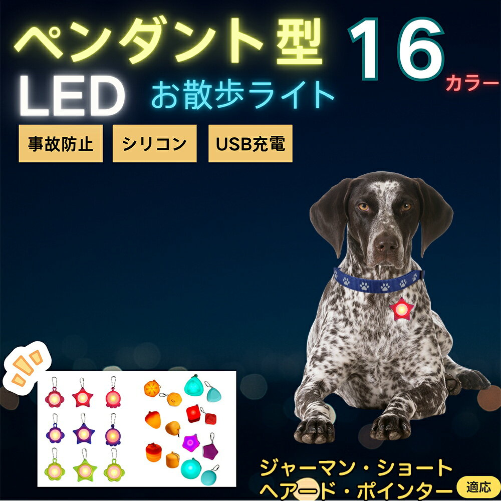 【5倍ポイント】ジャーマンショートヘアードポインター犬 LEDお散歩ライト ペット用 光る 首輪用チャーム USB充電 防滴 耐衝撃 連続点灯 夜間安全 リード ネックレス 犬 猫 小型犬 中型犬 大型犬 取り付け簡単 迷子防止