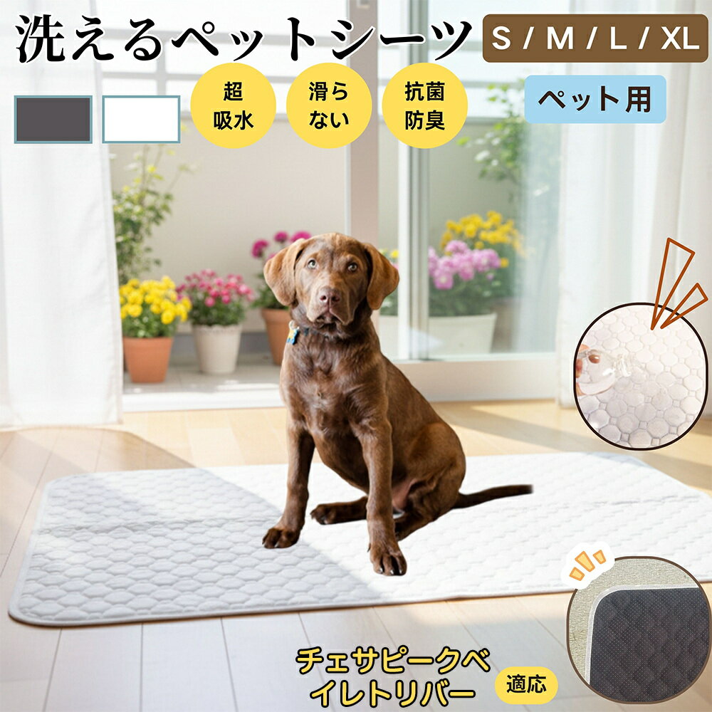 【5倍ポイント】チェサピークベイレトリバー犬 チェサピーク ペットマット 洗える 防水 ペットシーツ 超吸水 速乾 おしっこ対策 トイレマット 猫 犬用 介護マット 防臭 抗菌 滑り止め付き 小型犬 中型犬 大型犬 多頭飼い用 室内用マット