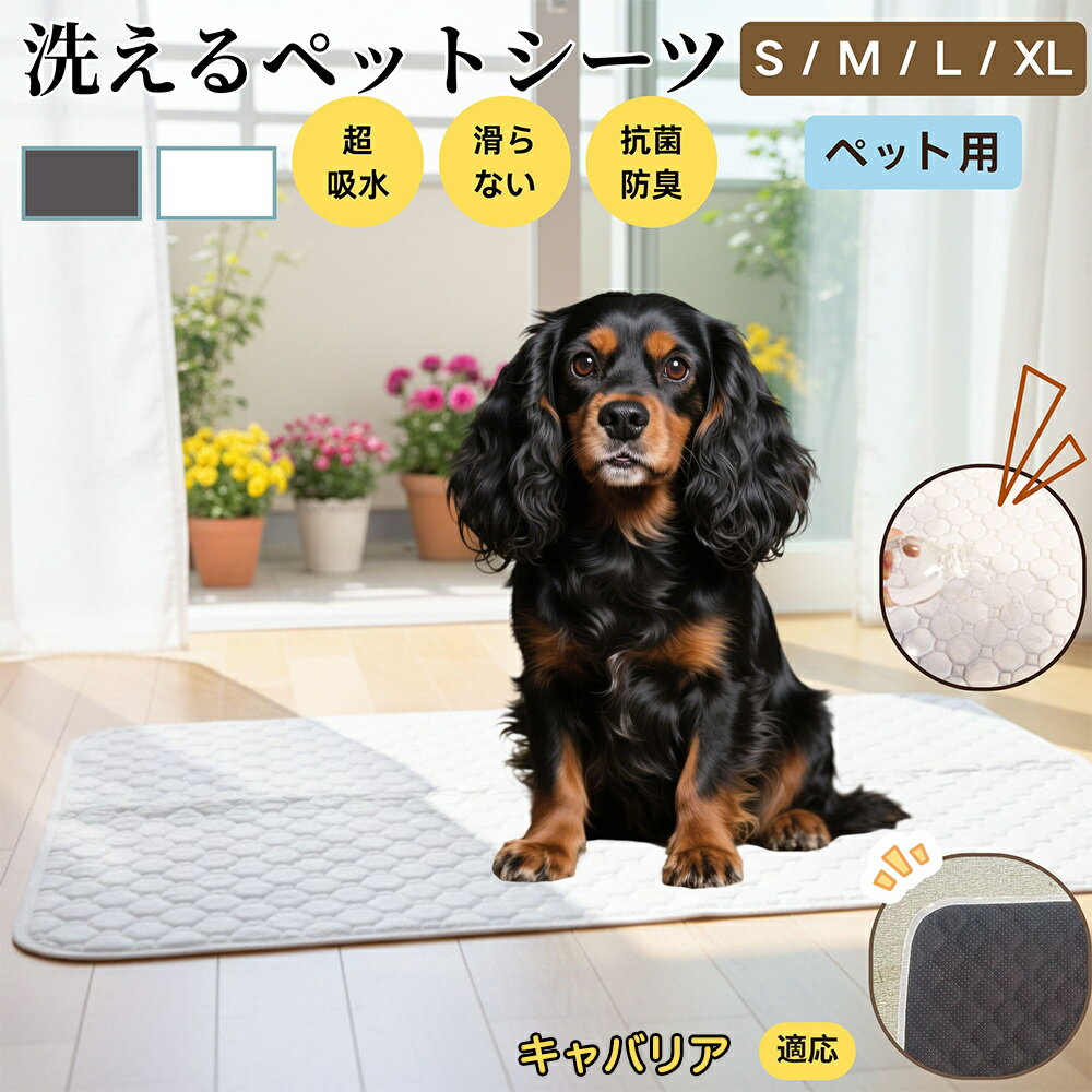 【5倍ポイント】キャバリアキングチャールズスパニエル犬 ペットマット 洗える 防水 ペットシーツ 超吸..