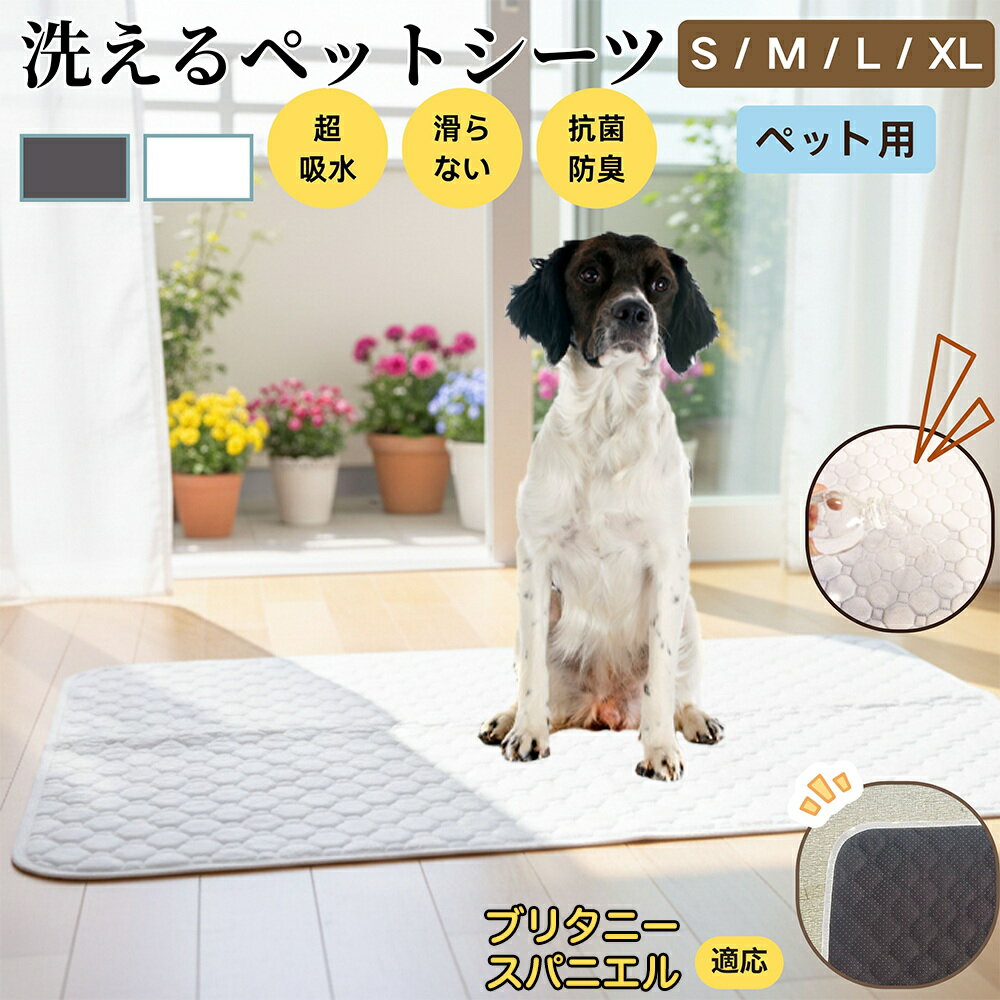 【5倍ポイント】ブリタニースパニエル犬 ブリタニー ペットマット 洗える 防水 ペットシーツ 超吸水 速..