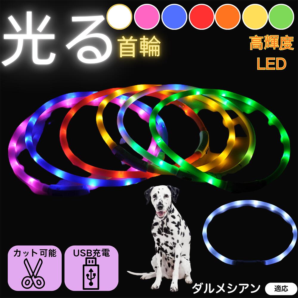【5倍ポイント】ダルメシアン犬種 ダルメシアン ペット用 光る首輪 犬 猫 LEDライト USB充電 レインボ..