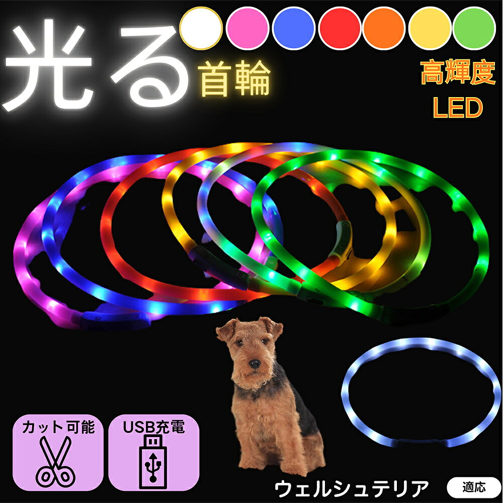 【5倍ポイント】ウェルシュテリア犬 ウェルシュ ペット用 光る首輪 犬 猫 LEDライト USB充電 レインボ..