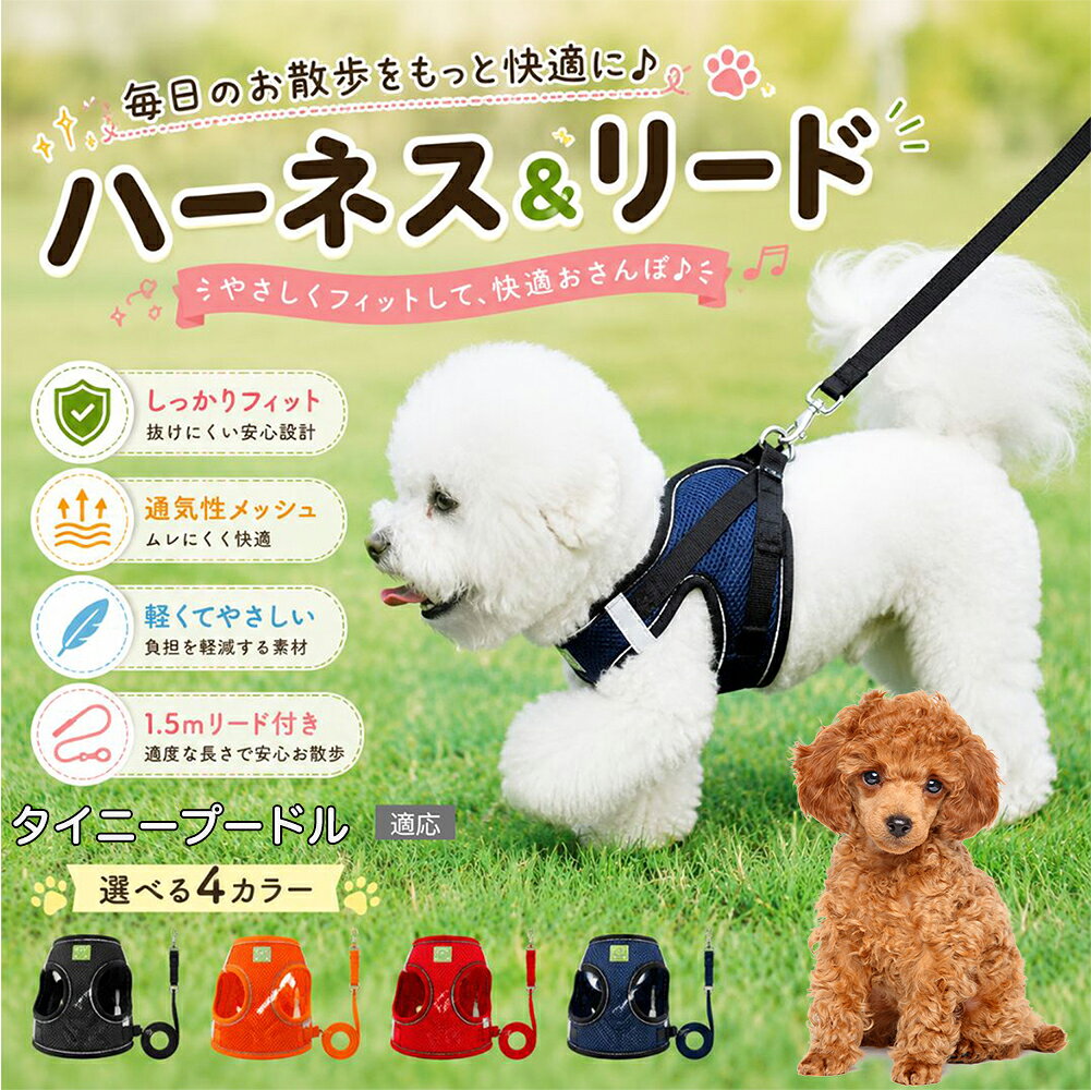 新品・即完売品】Tiffany&Co. リターントゥ ハーネス 首輪 s