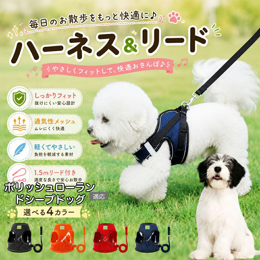 楽天市場】ラルフローレン（首輪・胴輪・リード｜犬用品）：ペット