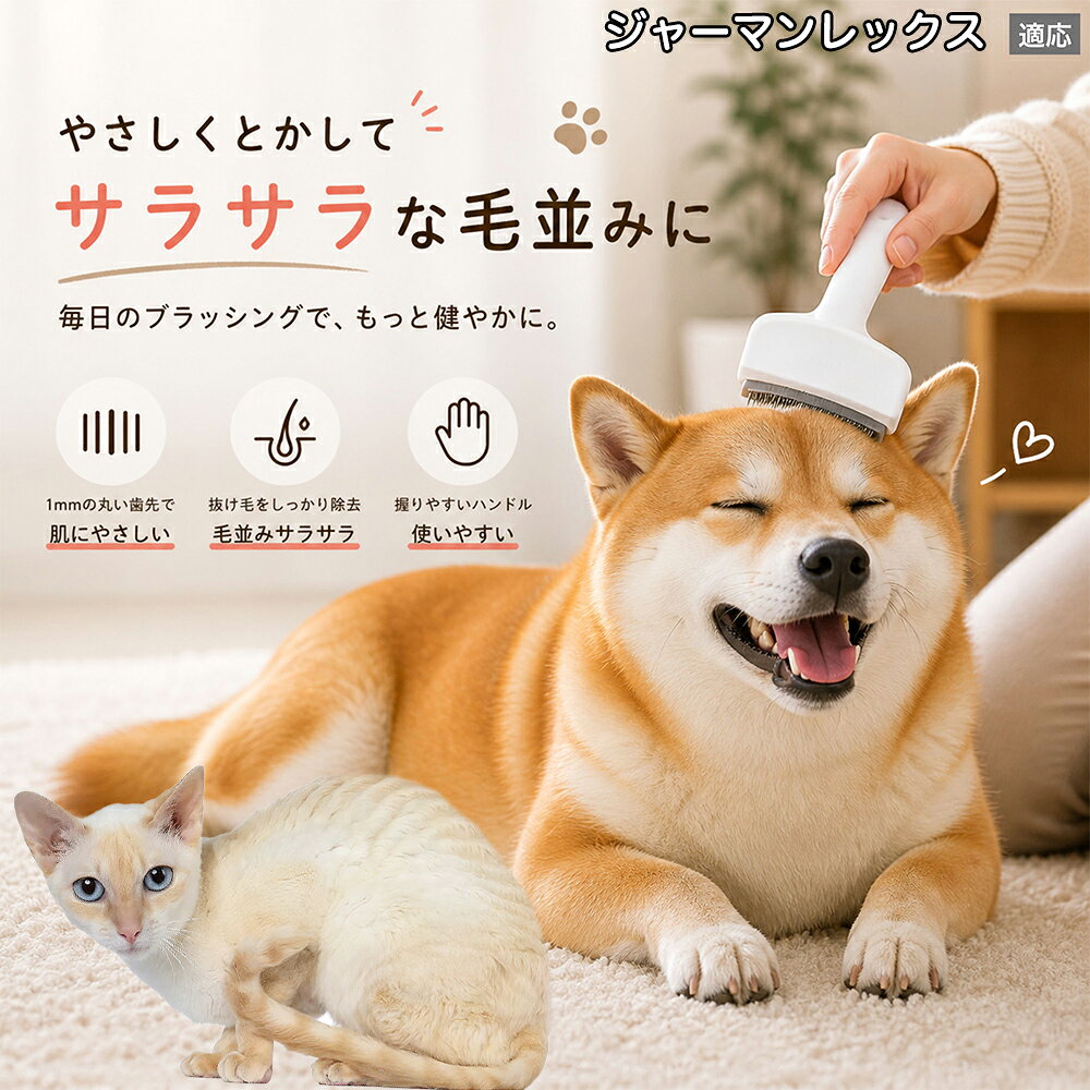 【5倍ポイント】 ジャーマンレックス猫 ジャーマン 犬用ブラシ 猫用ブラシ 抜け毛 ...