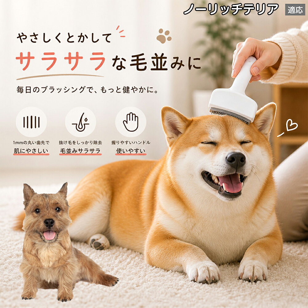 【5倍ポイント】 ノーリッチテリア犬 ノーリッチ 犬用ブラシ 猫用ブラシ 抜け毛 対策 ステンレス刃 錆びにくい 洗える ペット用品 グルーミング用品 清潔 衛生的 丈夫 抜け毛取りブラシ 室内犬 室内猫 お手入れ