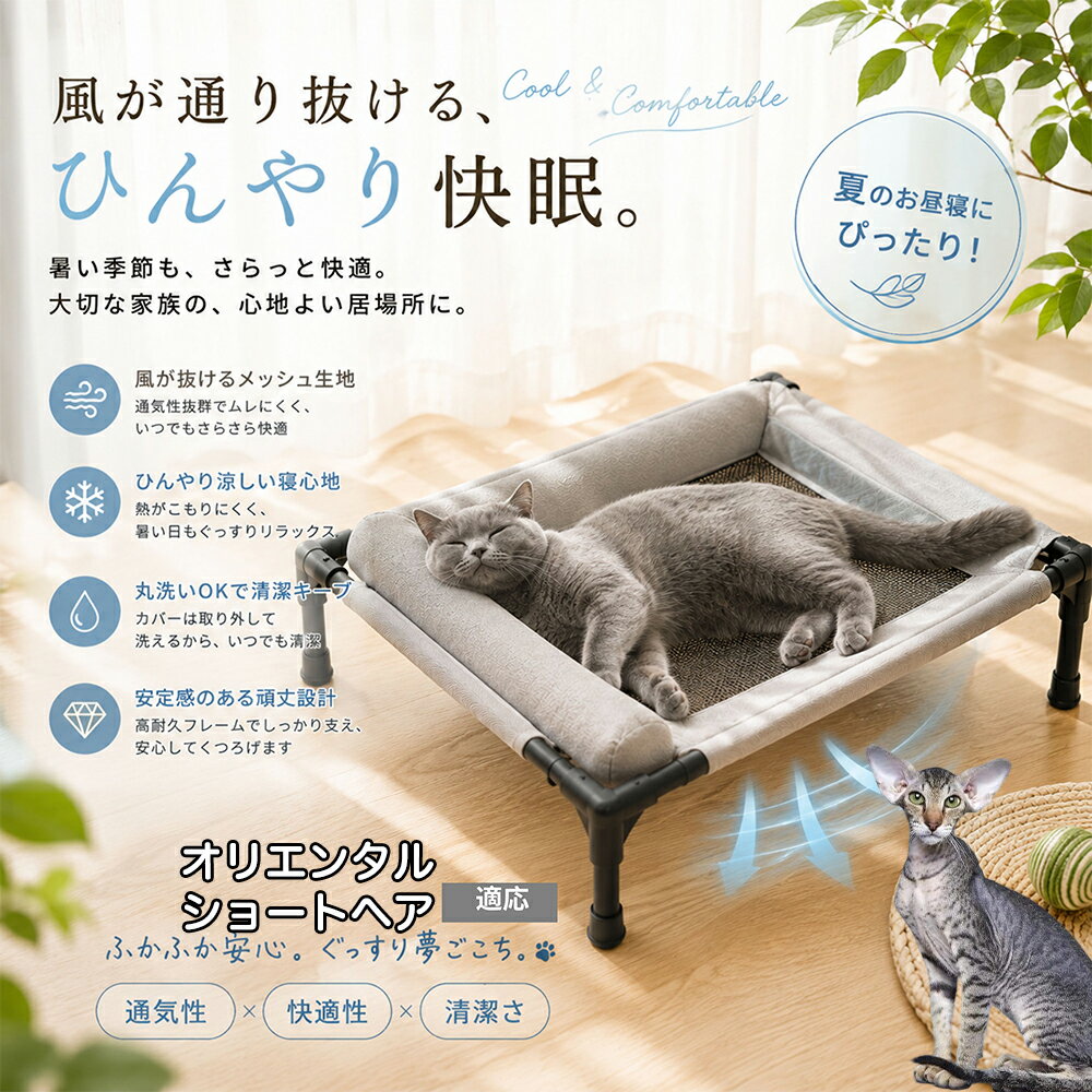 Bed Cuddler - 【5倍ポイント】 オリエンタルショートヘア猫 オリショ ドッグコット キャンプ アウトドア 工具不要 組立簡単 脚付き ペットベッド 高耐久 スチールフレーム 頑丈 壊れない 安定感抜群 30kg 耐荷重 滑り止め付き Mサイズ
