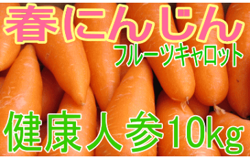 九州熊本産フルーツキャロット/ジュース用商品特別価格B級品10Kg