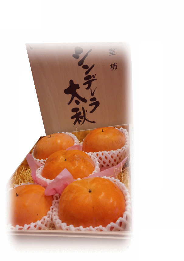 熊本産シンデレラ太秋柿　最高級品　木箱5個入り（大玉）約2k