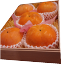 熊本産シンデレラ太秋柿 最高級品 木箱5個入り(大玉)約2k 18,360円