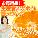 九州熊本産みかん 10Kg1箱 極旨い中早生大津4号 お届けは12月1日から - 福馬果樹園shop